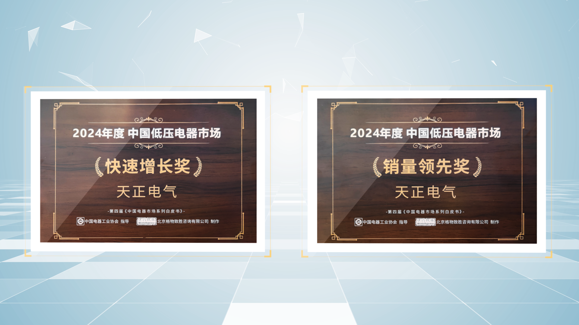 销量领先、快速增长丨开云登陆口网页版荣膺2项行业年度大奖